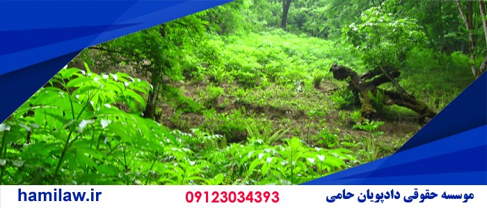 تشخیص اراضی ملی از مستثنیات