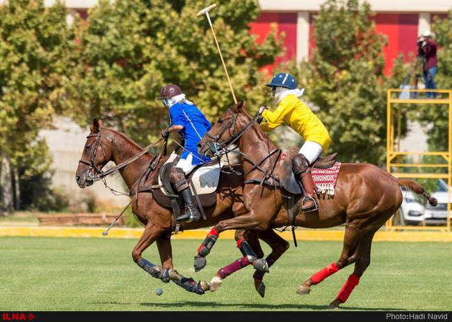 دومین دوره رقابتهای چوگان بانوان «جام شیرین»