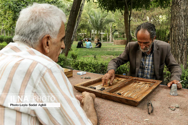 سالمندان در کوران پرپیچ و خم زندگی