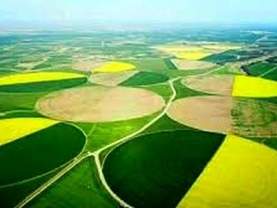  بازرس ویژه سازمان خصوصی‌سازی در کشت و صنعت‌مغان مستقر شد