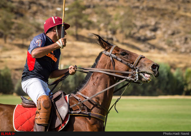 مسابقات چهارجانبه چوگان جام گابریک