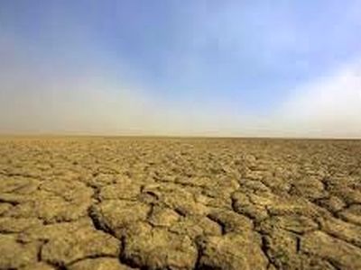 صدور مجوز برداشت از چاه‌های آب مانند نفت باشد/ انتقال آب از خلیج فارس مشکل کرمان را حل می‌کند؟ 