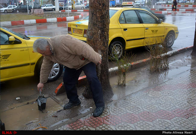 روزبارانی قزوین
