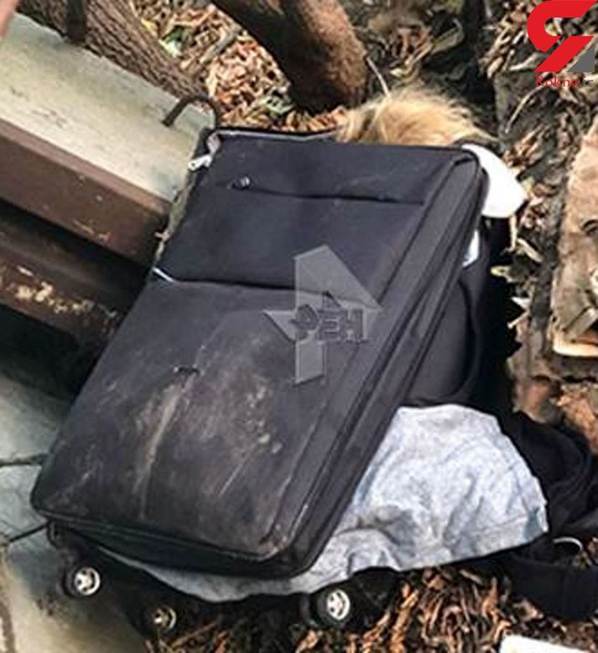 کشف دو جسد داخل چمدان در مسکو