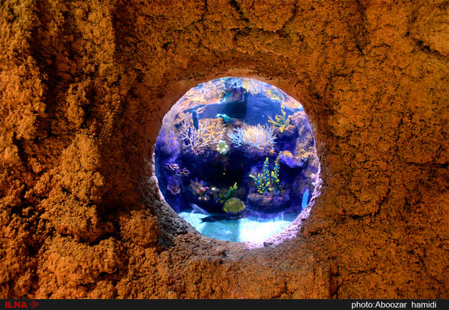 بزرگترین مجموعه آکواریوم کشور در منطقه آزاد انزلی - گیلان