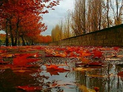 بارش باران پاییزی در نوار شمالی کشور/ خلیج فارس طوفانی می‌شود 