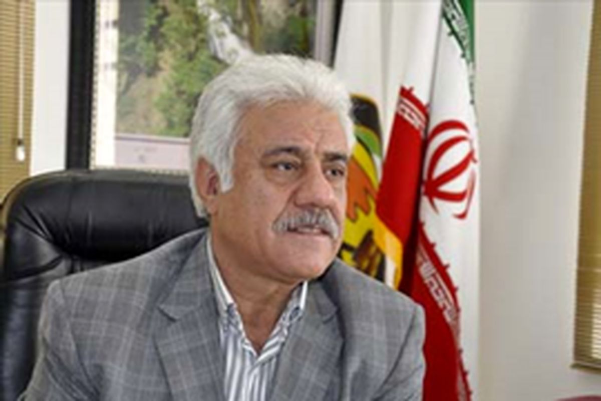 ۳۳۰۰ کیلومتر از شبکه برق لرستان به کابل خودنگهدار تبدیل شد