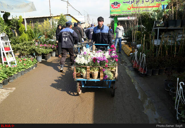 بازار گل و گیاه تهران در آستانه نوروز