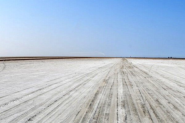 ریشه‌های بحران خشکیدگی در بهشت میانکاله/ هشدار نسبت به بیابانی شدن گلستان