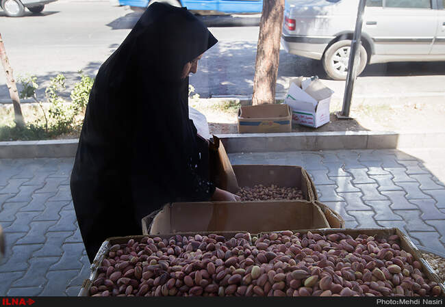 سوغات دامغان