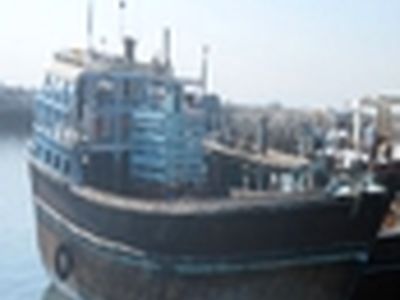 کشف و ضبط بزرگترین محموله قاچاق پرنده در چابهار