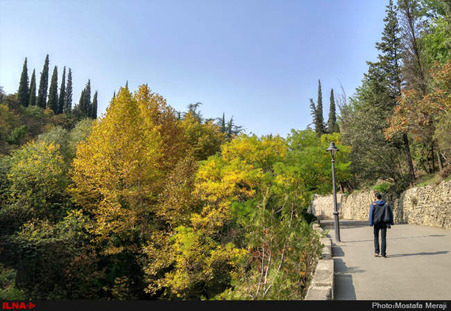 گزارش اختصاصی ایلنا از پاییز در باغ بوتانیکال تفلیس