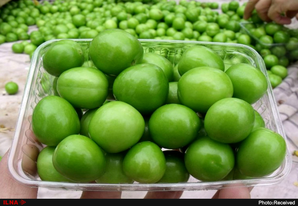 خواص گوجه سبز، این خوشمزه پر‌طرفدار 