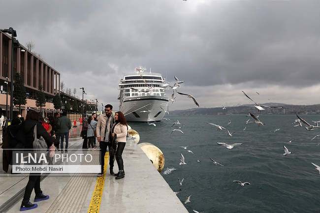 مرغان دریایی اسکله گالاتاپورت