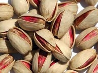 راه نجات پسته تقویت شرکت تعاونی پسته است