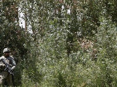 اتهام ۴۰ شرکت خارجی به جاسوسی در عراق
