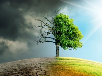 کمیته تغییر اقلیم وزارت جهاد کشاورزی راه‌اندازی می‌شود/ تاکید بر شناسایی ردپای کربن و کاهش گازهای گلخانه‌ای