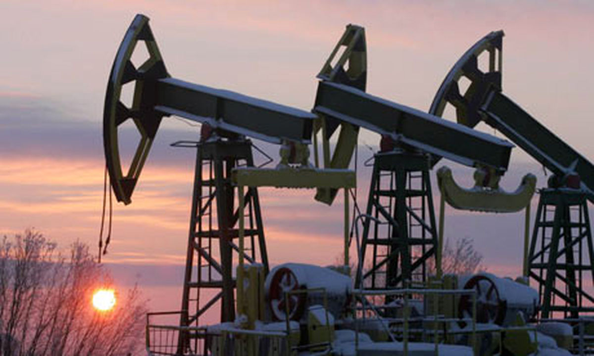 Oil industry can overhaul Iran economy: Academic