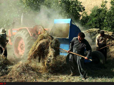 مرگ دلخراش کشاورز مرودشتی حین کار با خرمن‌کوب 