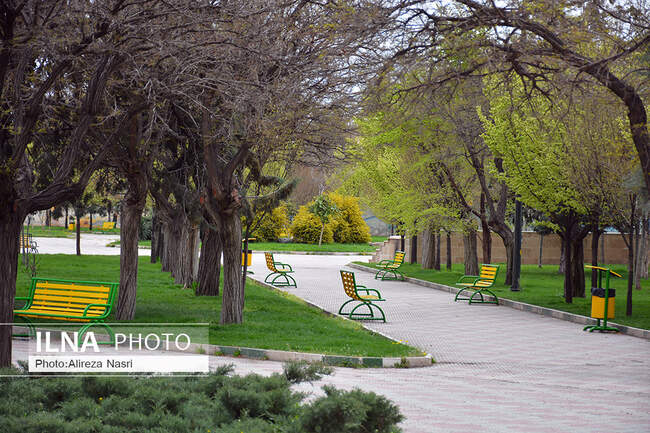 سیزده سال 99