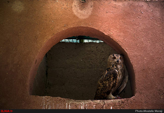 باغ پرندگان اصفهان