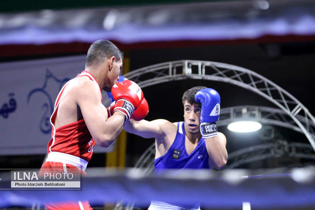 بیستمین دوره مسابقات قهرمانی بوکس کشور 