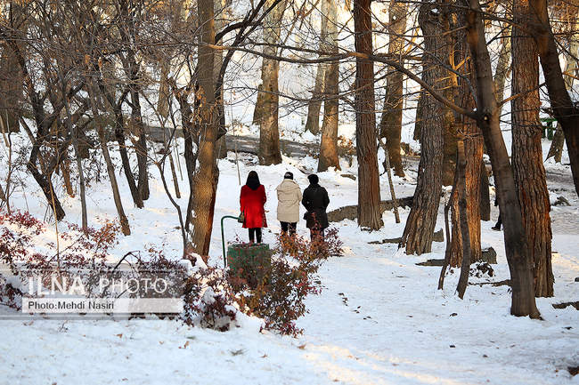 برف زمستانی پارک جمشیدیه