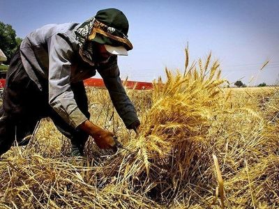 آخرین گزارش بررسی طرح‌های اشتغال روستایی 