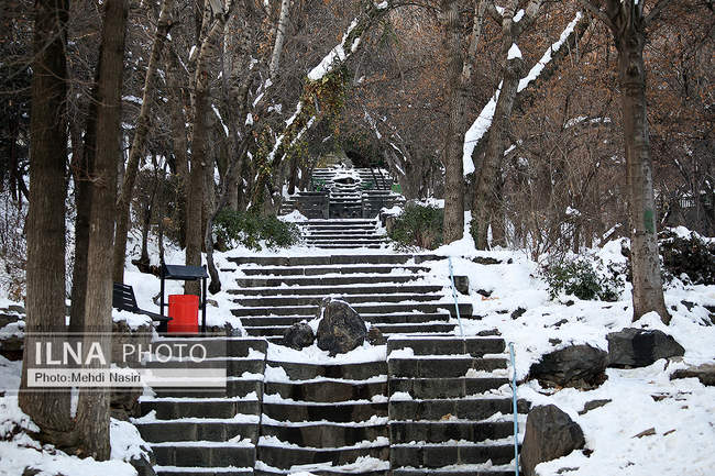 برف زمستانی پارک جمشیدیه
