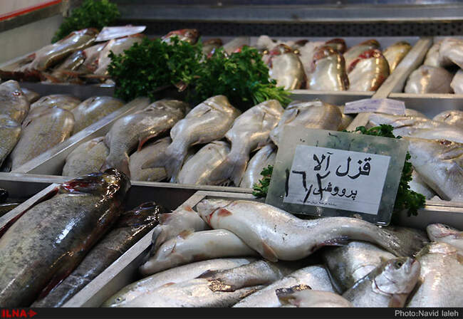تهران در آستانه سال نو