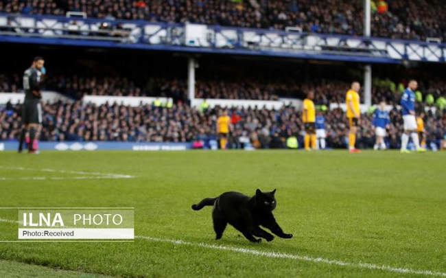 میهمان ناخوانده