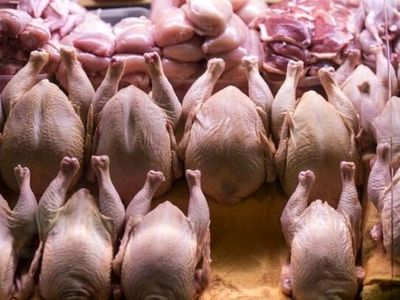 قیمت گوشت مرغ امروز ۱۲ اردیبهشت ۱۴۰۳ 