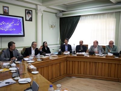 تکالیف دستگاه‌ها در طرح کاهش آسیب‌های اجتماعی تا دو هفته آینده مشخص شود