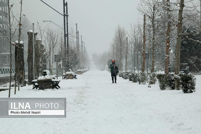 پارک ملت در یک روز برفی
