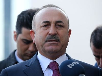 عملیات عفرین ثبات را به سوریه بازگرداند/ ما فرانسه نیستیم ما ترکیم