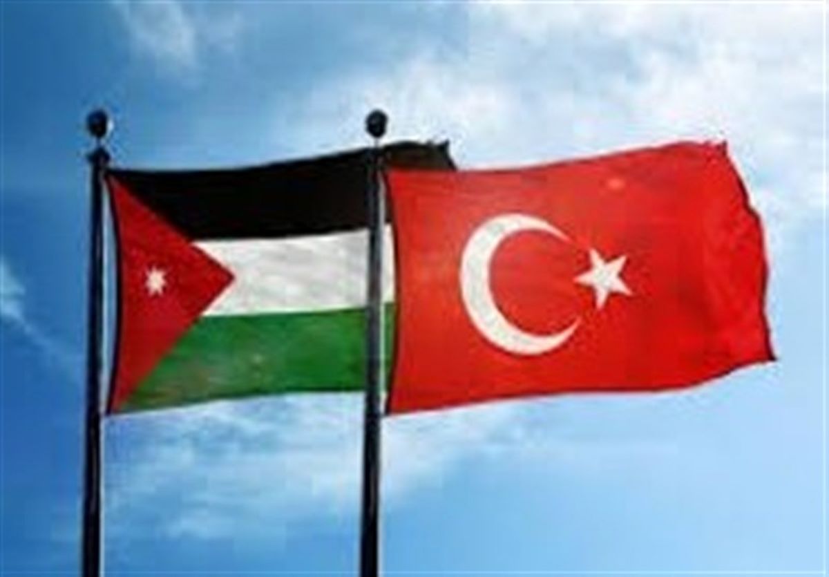 الصفدی و فیدان درباره تحولات سوریه و غزه گفت‌وگو کردند