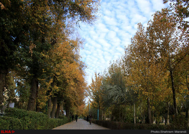 هوای امروز اصفهان