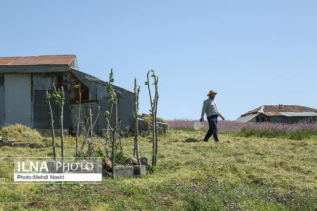 سلانسر یکی از زیباترین ییلاقات رودبار