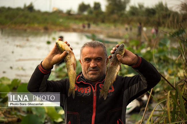 مراسم چپی زنی و قرق شکنی در آبندان رودبست بابلسر