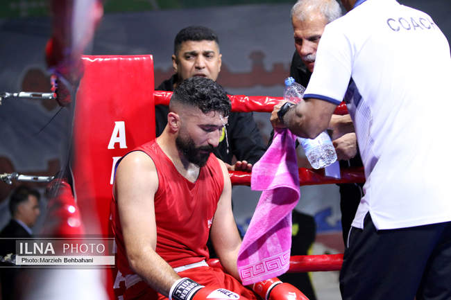 بیستمین دوره مسابقات قهرمانی بوکس کشور 