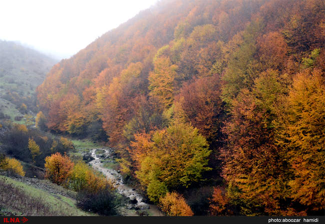 طبیعتِ پاییز در رودبار گیلان