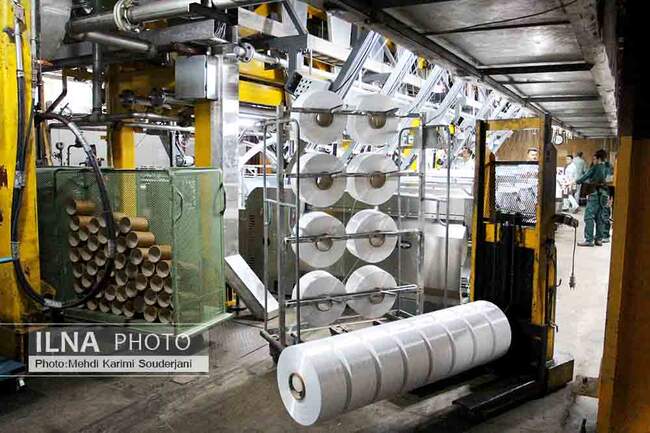 IMG_2553 copy
