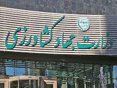 زیان ۱۵ هزار میلیارد تومانی ۶ شرکت زیر مجموعه وزارت جهاد کشاورزی