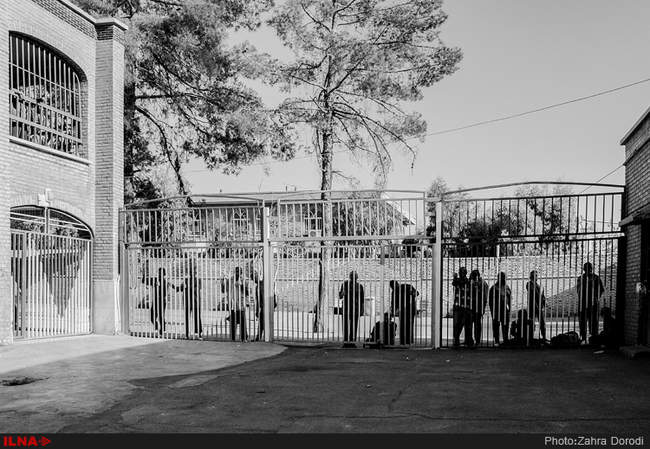 تنهایی پر هیاهو / استان قم