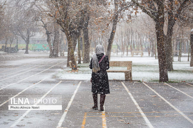  برف زمستانی