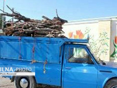 توقیف یک دستگاه نیسان حامل چوب‌آلات غیر‌مجاز در اردبیل