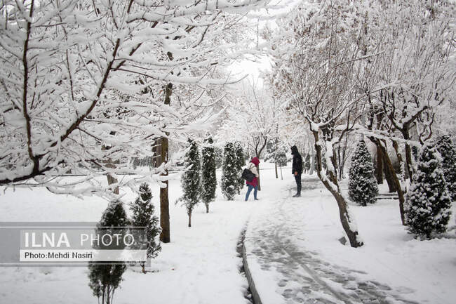 بارش برف در تهران