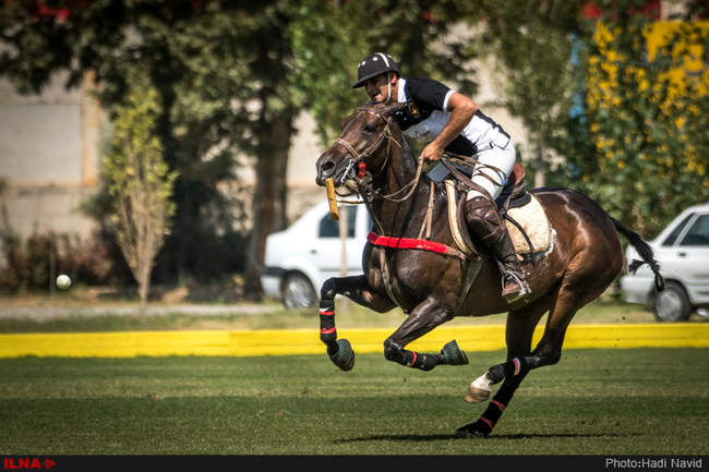 رقابتهای چوگان جام شهدای مدافع حرم-رده بندی