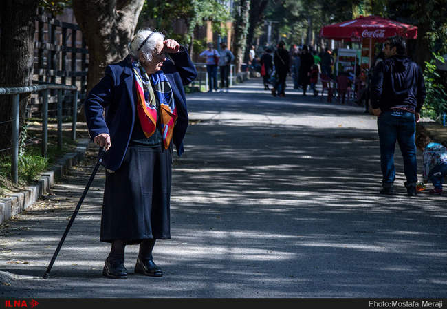 باغ وحش تفلیس از دریچه دوربین