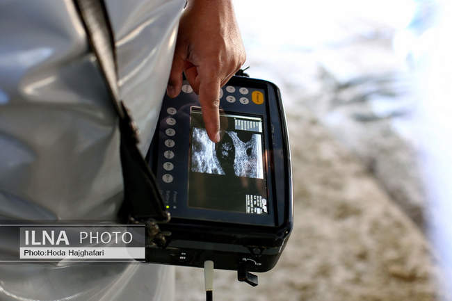 تولید در مسیر پیشرفت مناطق محروم
